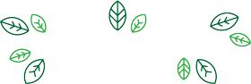 Mandragora design